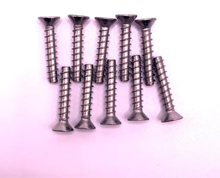 Lamprey Hardware Skimmer Stainless Steel 10 Piece Screw Kit fits Aquador 1090 71090 Faceplate - LHSSL10