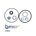 Lamprey Hardware Replacement Repair Rebuilt Maintenance Kit for HAYWARD® POWER-FLO II™ 1700 SERIES - LHRK13