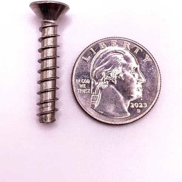 Lamprey Hardware Skimmer Stainless Steel 11 Piece Screw Kit fits Aquador 1050 71050 Faceplate - LHSL11